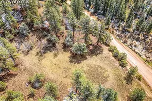 715 W Bison Creek Trail, Florissant, CO 80816 - Photo 48
