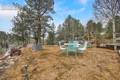 715 W Bison Creek Trail, Florissant, CO 80816 - Photo 32