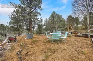 715 W Bison Creek Trail, Florissant, CO 80816 - Photo 32