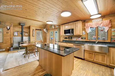 715 W Bison Creek Trail, Florissant, CO 80816 - Photo 4