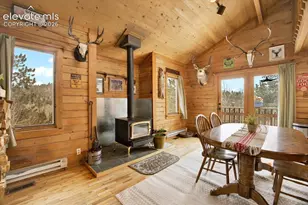 715 W Bison Creek Trail, Florissant, CO 80816 - Photo 12