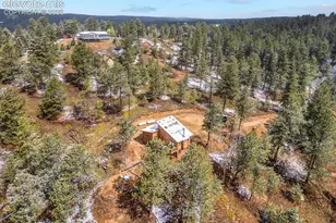 715 W Bison Creek Trail, Florissant, CO 80816 - Photo 40