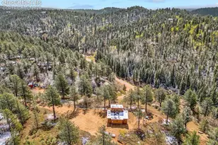 715 W Bison Creek Trail, Florissant, CO 80816 - Photo 44