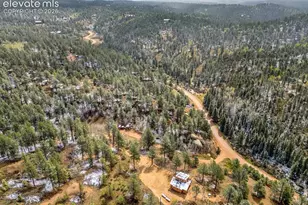 715 W Bison Creek Trail, Florissant, CO 80816 - Photo 46