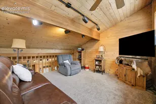 715 W Bison Creek Trail, Florissant, CO 80816 - Photo 20