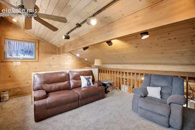 715 W Bison Creek Trail, Florissant, CO 80816 - Photo 22