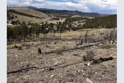 H Path Na, Cotopaxi, CO 81223 - Photo 6