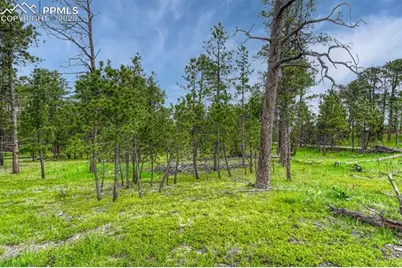 000 Wyandott Drive, Colorado Springs, CO 80908 - Photo 4