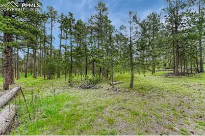 000 Wyandott Drive, Colorado Springs, CO 80908 - Photo 6