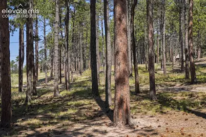 13290 Pinery Drive, Colorado Springs, CO 80908 - Photo 42