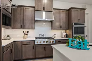 9020 Frolic Vw, Colorado Springs, CO 80924 - Photo 6