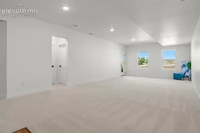 9020 Frolic View, Colorado Springs, CO 80924 - Photo 38