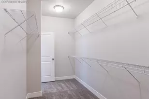 9733 Warrick St, Colorado Springs, CO 80924 - Photo 2