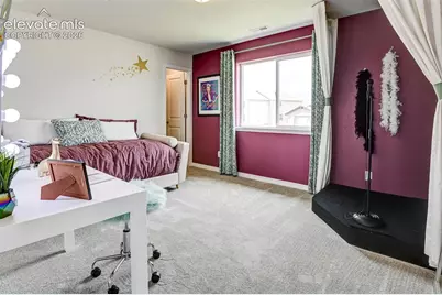 9717 Warrick Street, Colorado Springs, CO 80924 - Photo 6