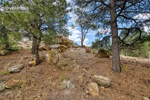 2621 Hearthwood Ln, Colorado Springs, CO 80917 - Photo 28