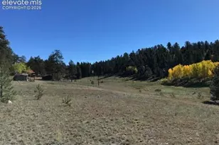 3303 Trail Creek Rd, Florissant, CO 80816 - Photo 40
