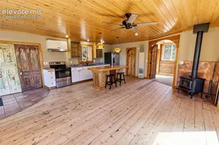 3303 Trail Creek Rd, Florissant, CO 80816 - Photo 46