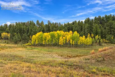 3303 Trail Creek Road, Florissant, CO 80816 - Photo 20