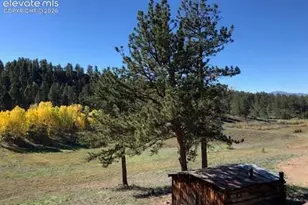 3303 Trail Creek Rd, Florissant, CO 80816 - Photo 38
