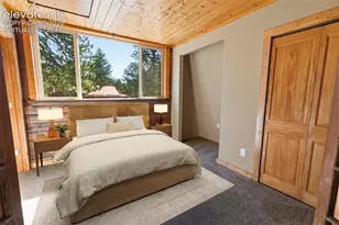 3303 Trail Creek Rd, Florissant, CO 80816 - Photo 28