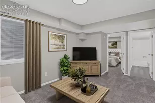 2932 Camino Cielo Ct, Colorado Springs, CO 80920 - Photo 36