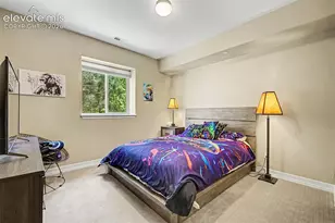 429 Stone Cottage Grove, Colorado Springs, CO 80906 - Photo 26