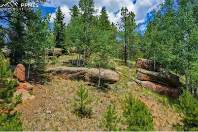 549 Spring Valley Lane, Florissant, CO 80816 - Photo 4