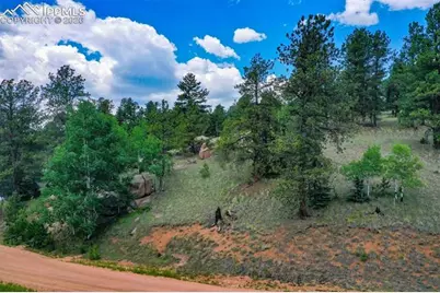 549 Spring Valley Lane, Florissant, CO 80816 - Photo 2