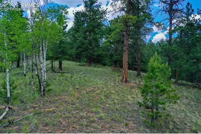 549 Spring Valley Lane, Florissant, CO 80816 - Photo 10