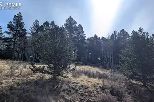 136 Valley Rd, Divide, CO 80814 - Photo 1