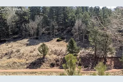 136 Valley Road, Divide, CO 80814 - Photo 6