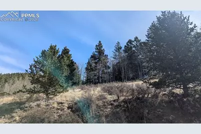 136 Valley Road, Divide, CO 80814 - Photo 4