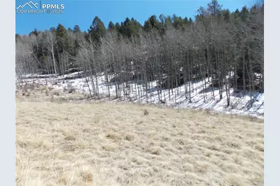 388 Grey Eagle Drive, Cripple Creek, CO 80813 - Photo 1