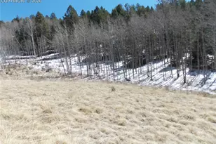 388 Grey Eagle Dr, Cripple Creek, CO 80813 - Photo 1