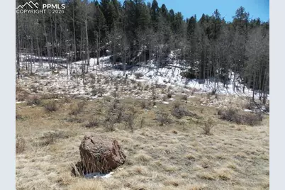 388 Grey Eagle Drive, Cripple Creek, CO 80813 - Photo 4