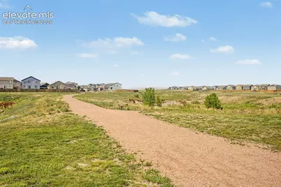 10349 Desert Bloom Way, Colorado Springs, CO 80925 - Photo 48