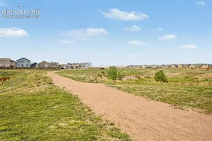 10349 Desert Bloom Way, Colorado Springs, CO 80925 - Photo 48