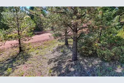 1232 Monarch Drive, Cripple Creek, CO 80813 - Photo 4