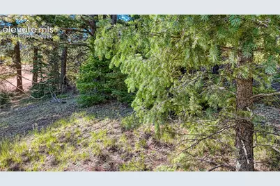 1232 Monarch Drive, Cripple Creek, CO 80813 - Photo 26