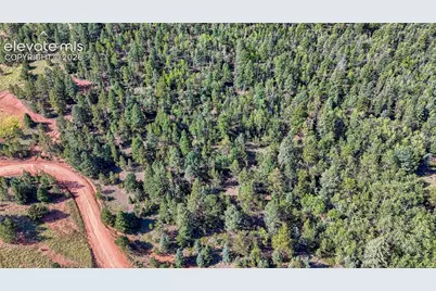 1232 Monarch Drive, Cripple Creek, CO 80813 - Photo 6