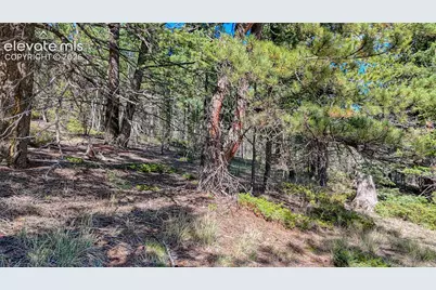 1232 Monarch Drive, Cripple Creek, CO 80813 - Photo 22