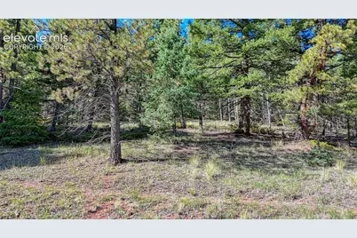 1232 Monarch Drive, Cripple Creek, CO 80813 - Photo 18