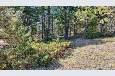 1232 Monarch Drive, Cripple Creek, CO 80813 - Photo 20