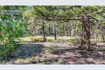 1232 Monarch Drive, Cripple Creek, CO 80813 - Photo 14
