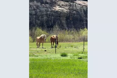 2401 Lakemoor Drive, Florissant, CO 80816 - Photo 42