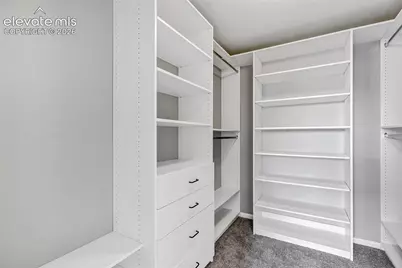 7585 Alpine Daisy Drive, Colorado Springs, CO 80925 - Photo 28
