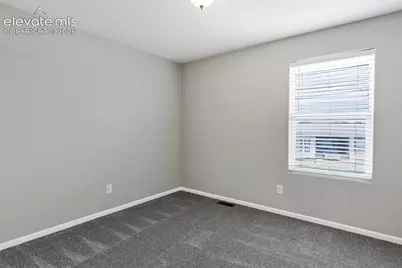 7585 Alpine Daisy Drive, Colorado Springs, CO 80925 - Photo 22