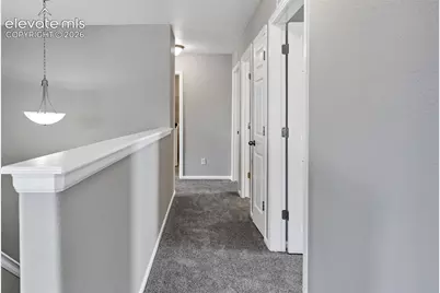 7585 Alpine Daisy Drive, Colorado Springs, CO 80925 - Photo 18