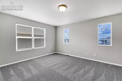 7585 Alpine Daisy Drive, Colorado Springs, CO 80925 - Photo 16