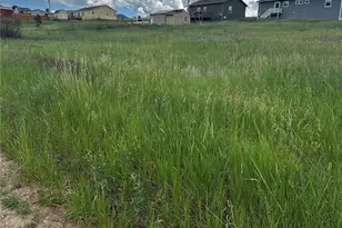 1298 Will Scarlet Dr, Divide, CO 80814 - Photo 1